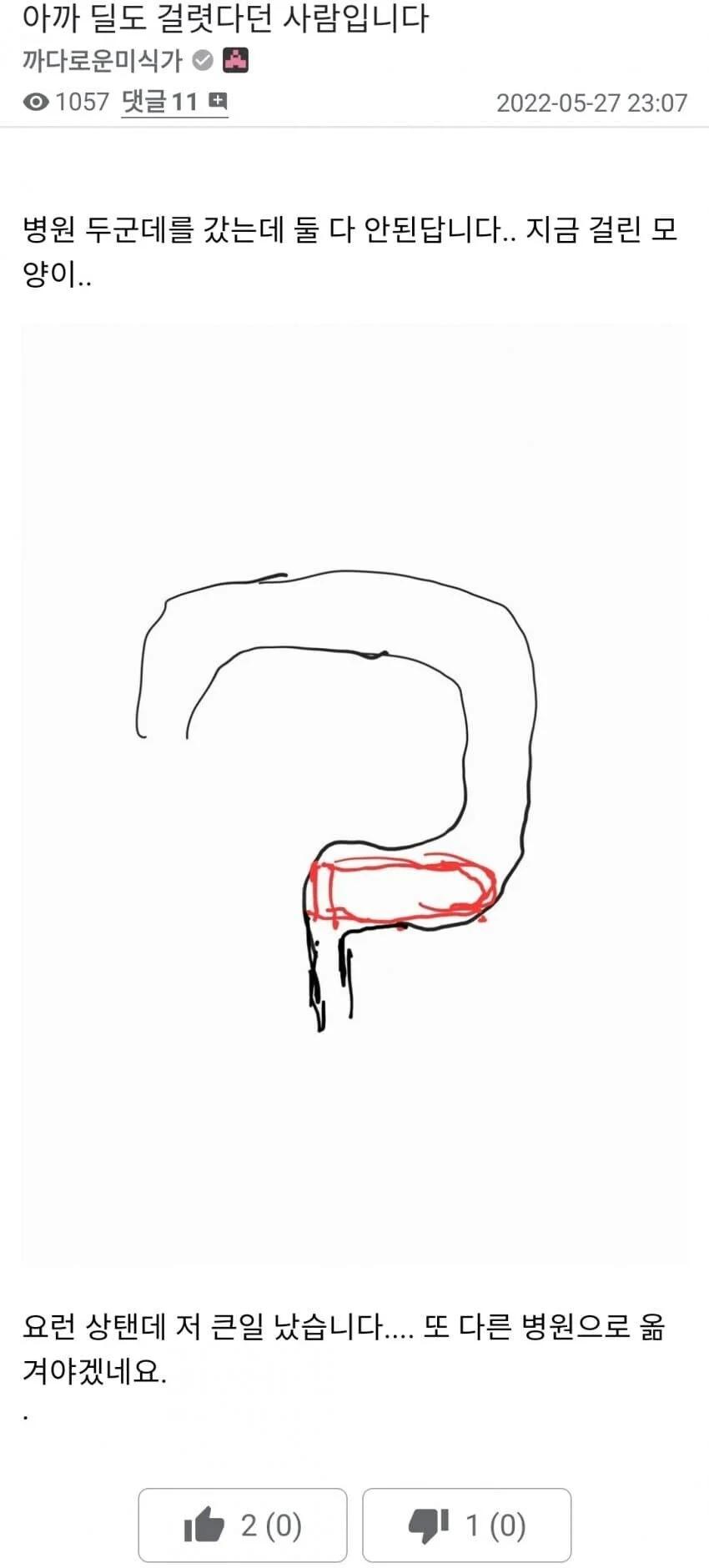 2.webp.jpg