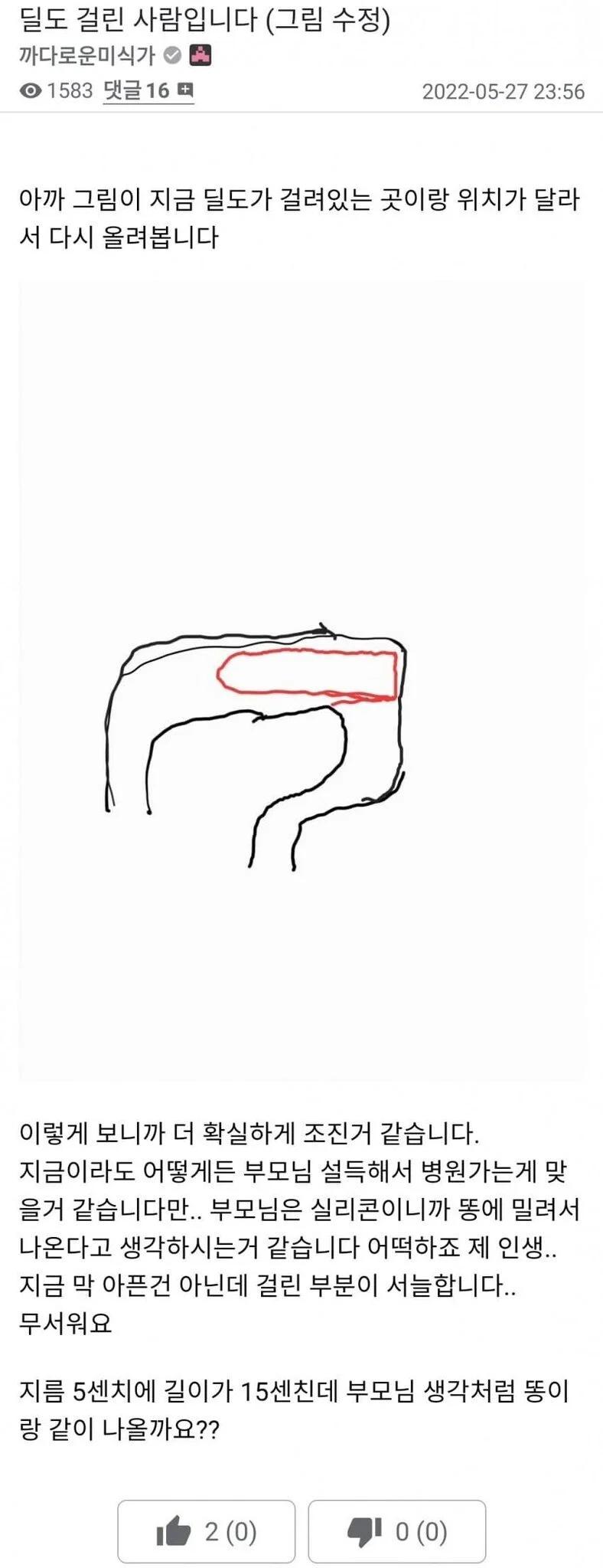 3.webp.jpg