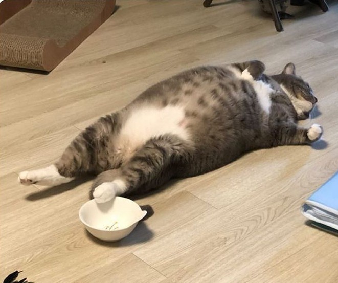 졸림2.jpg