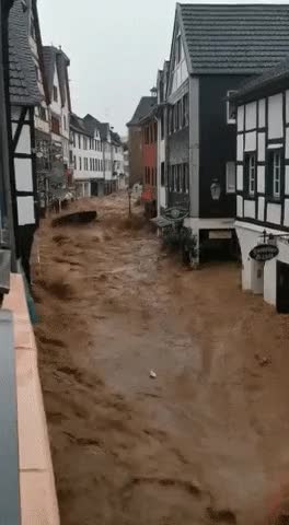 img.gif
