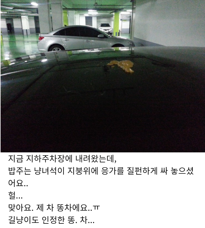 똥3.png
