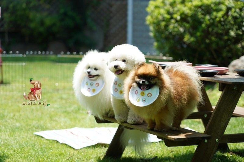 24post.co.kr_016.jpg