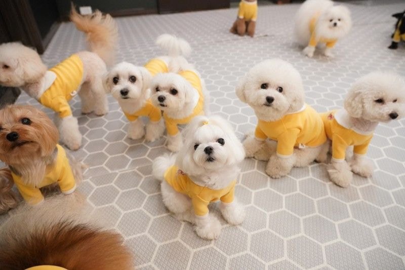 24post.co.kr_001.jpg