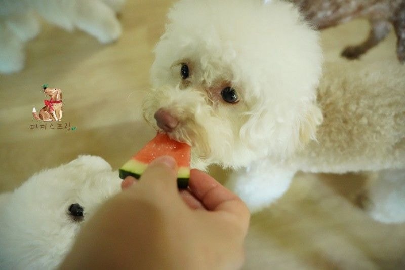 24post.co.kr_022.jpg