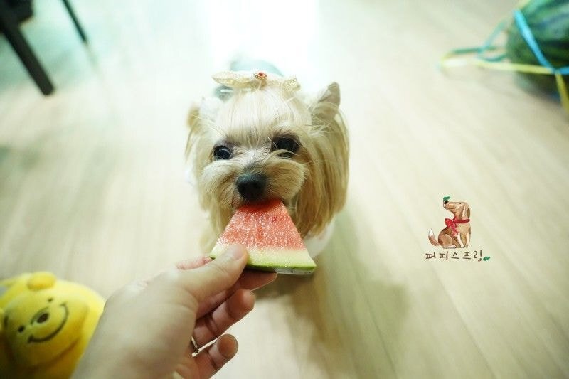 24post.co.kr_023.jpg