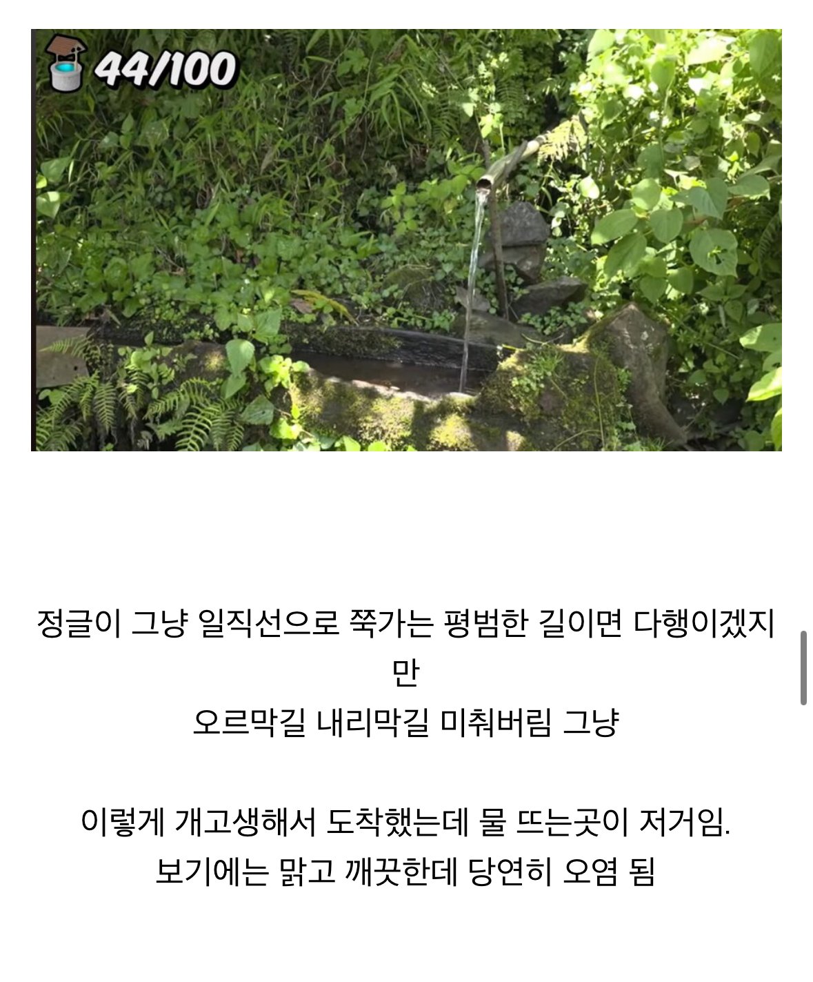IMG_1761.jpeg 세계 유튜버 1위 미스터 비스트 근황
