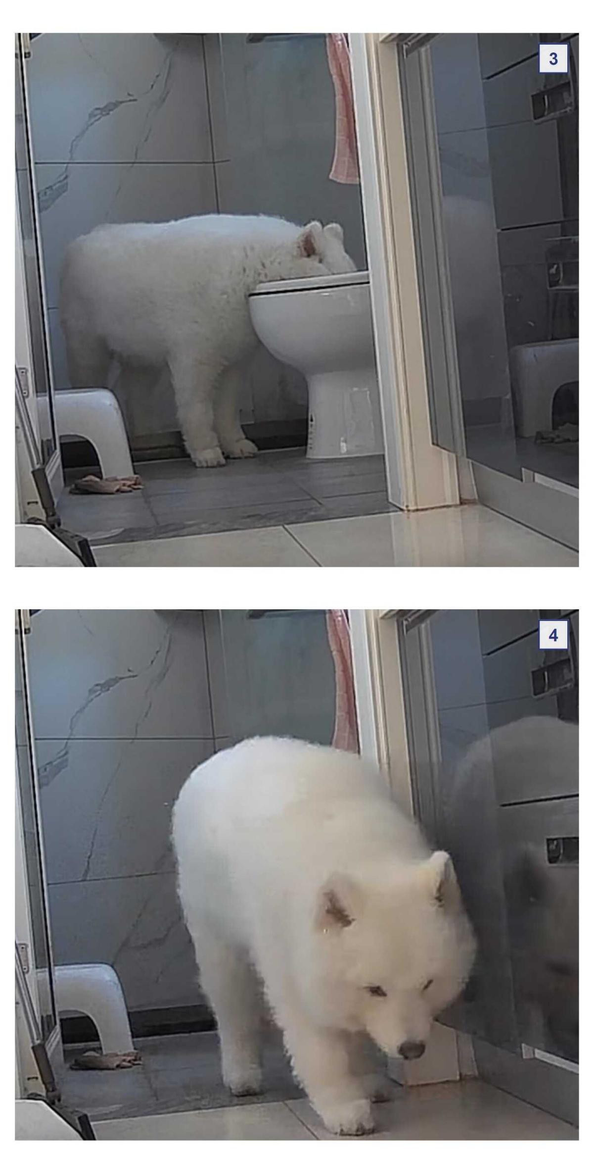 image.png.jpg