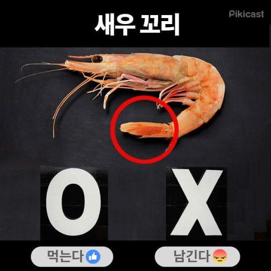 999.jpg
