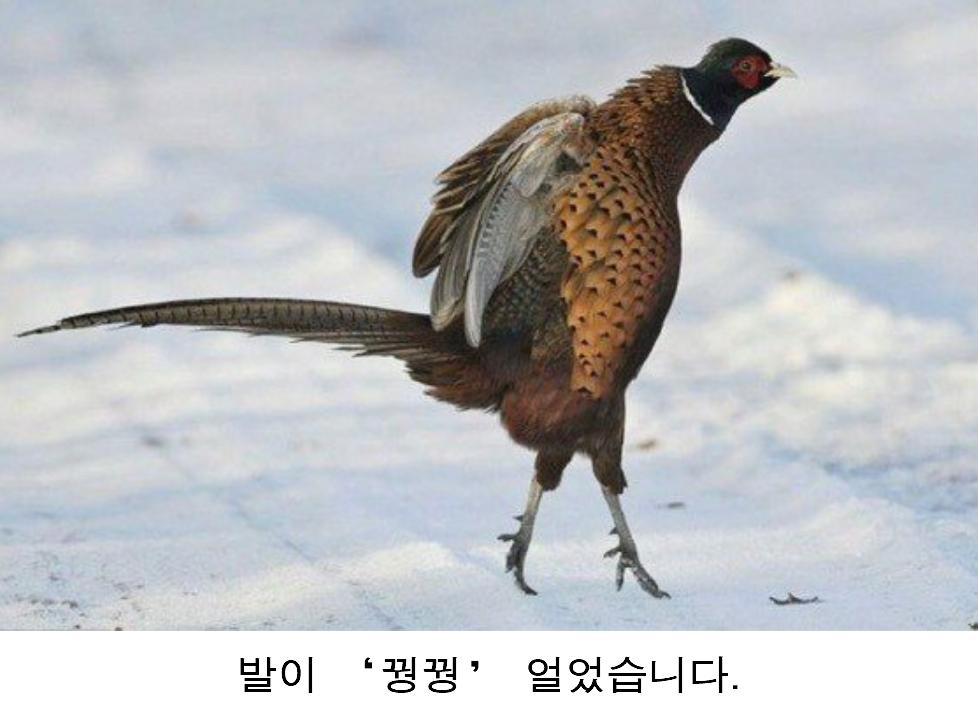 날이 추운 나머지.png.jpg