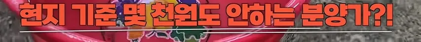 16938262094472