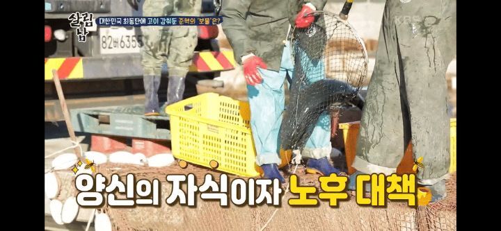 김짤.com_008.jpg