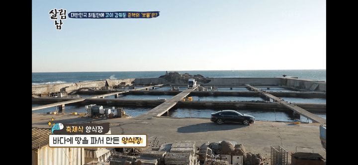 김짤.com_005.jpg