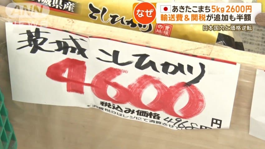 1741166111.jpg