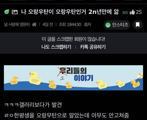 555.jpg