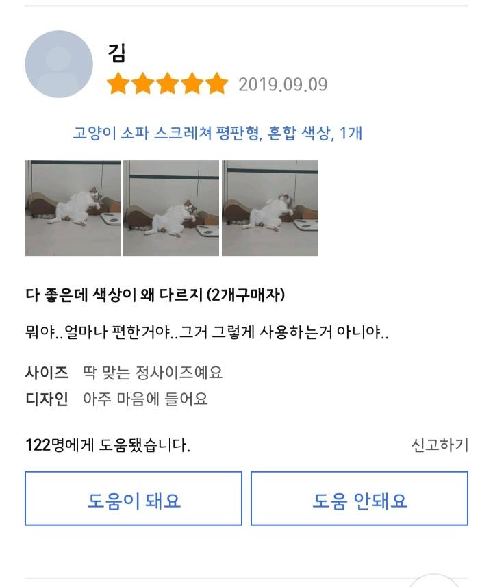 너무 편해 보이는 리뷰속 고양이.jpg | 인스티즈