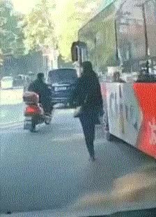 singlebungle1472-20220131-111508-008.gif