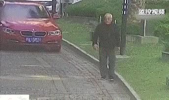 singlebungle1472-20220131-111524-010.gif
