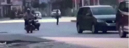 singlebungle1472-20220131-111444-005.gif