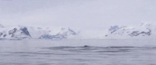 fc3fa16549412cc804f330d1648bc692.gif