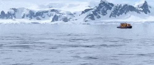 f9bb7b5c76a446cc5535f86d78bf19db.gif