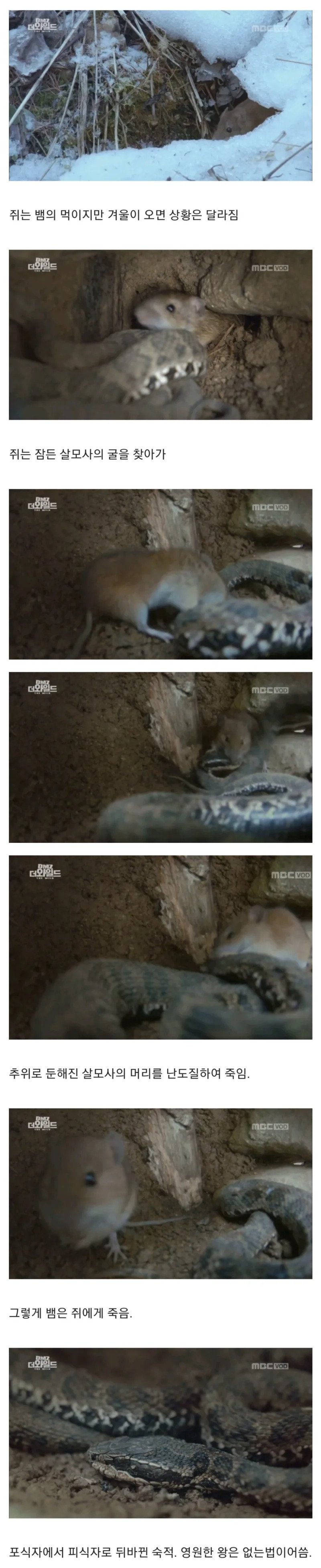 제 가족을 죽인 비암을 15년 후에 죽여주세요.webp.ren.jpg