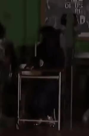 9.gif