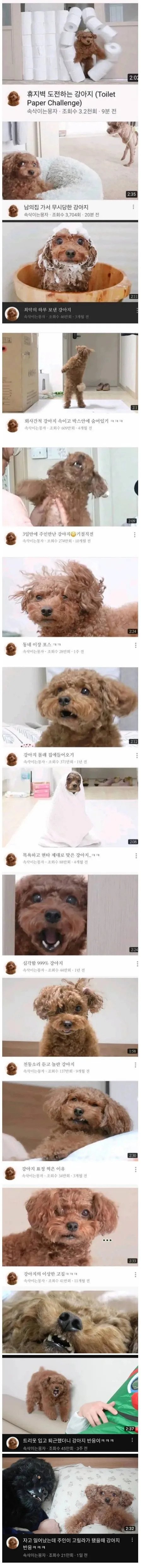 썸네일 잘 뽑는 댕댕이 유튭