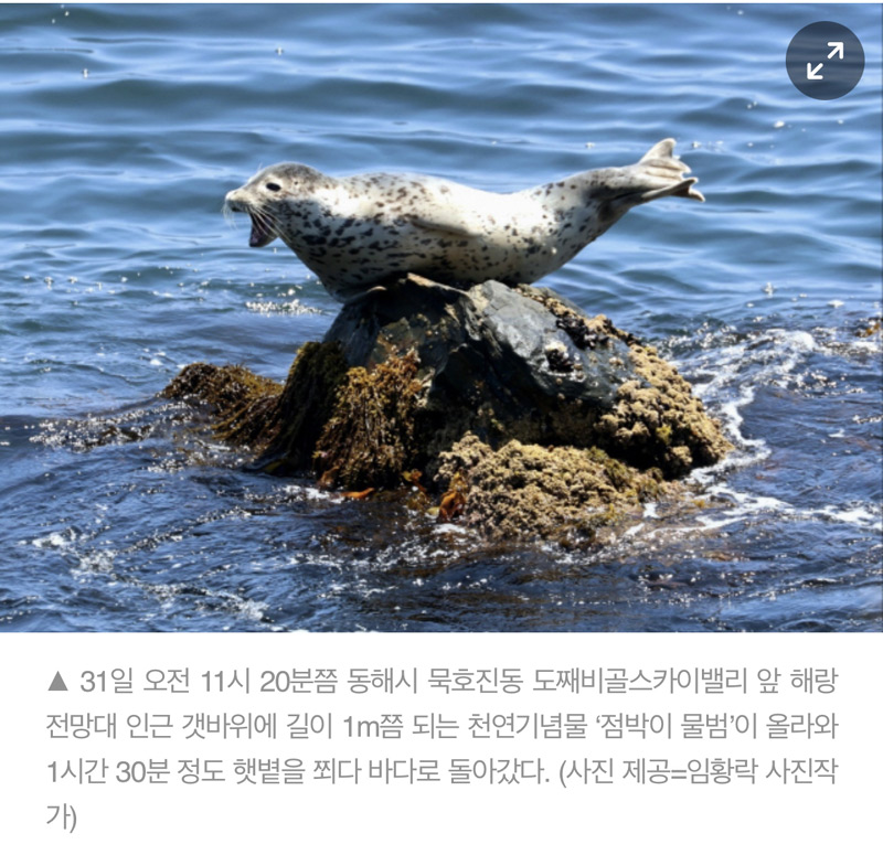 ggoorr.net_001.jpg