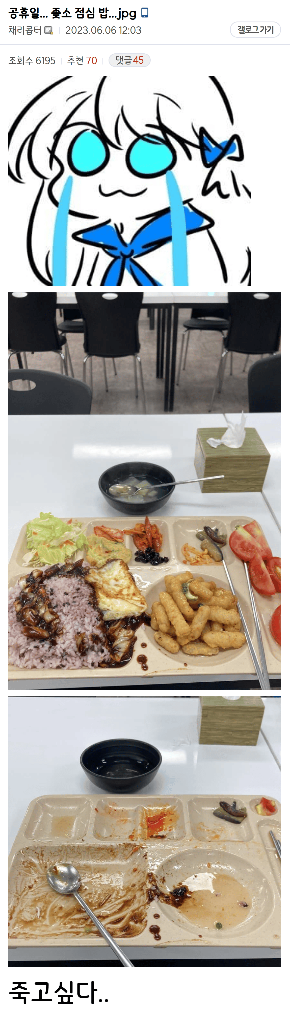 image.png 매일 점심밥인증하고 죽고싶다던 디시인 사망..... JPG