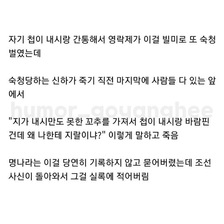 humor_goyanghee_1629240440699_2.jpg