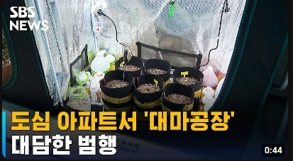 image.png 마약에 찌들어가는 대한민국 현재 상황