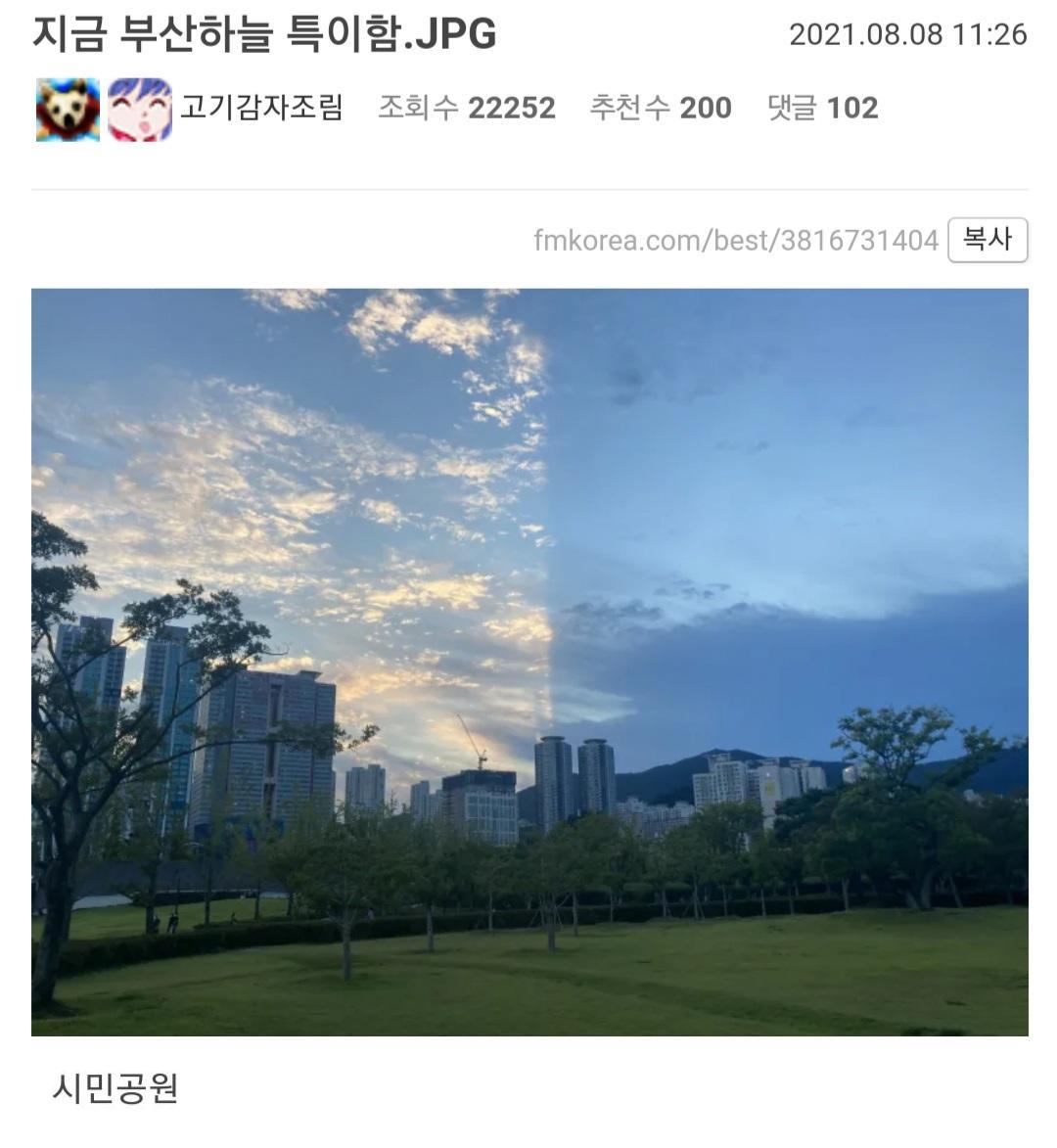 특이했던 부산 하늘.png.jpg