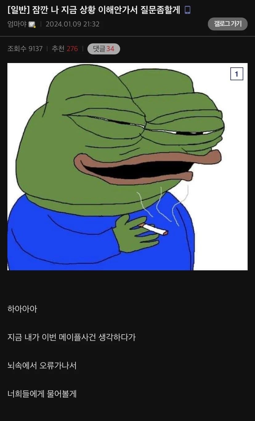 s001.jpg