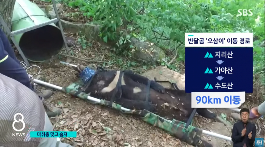 24post.co.kr_007.png