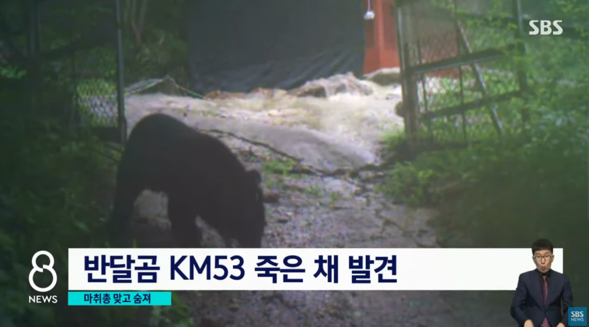 24post.co.kr_002.png