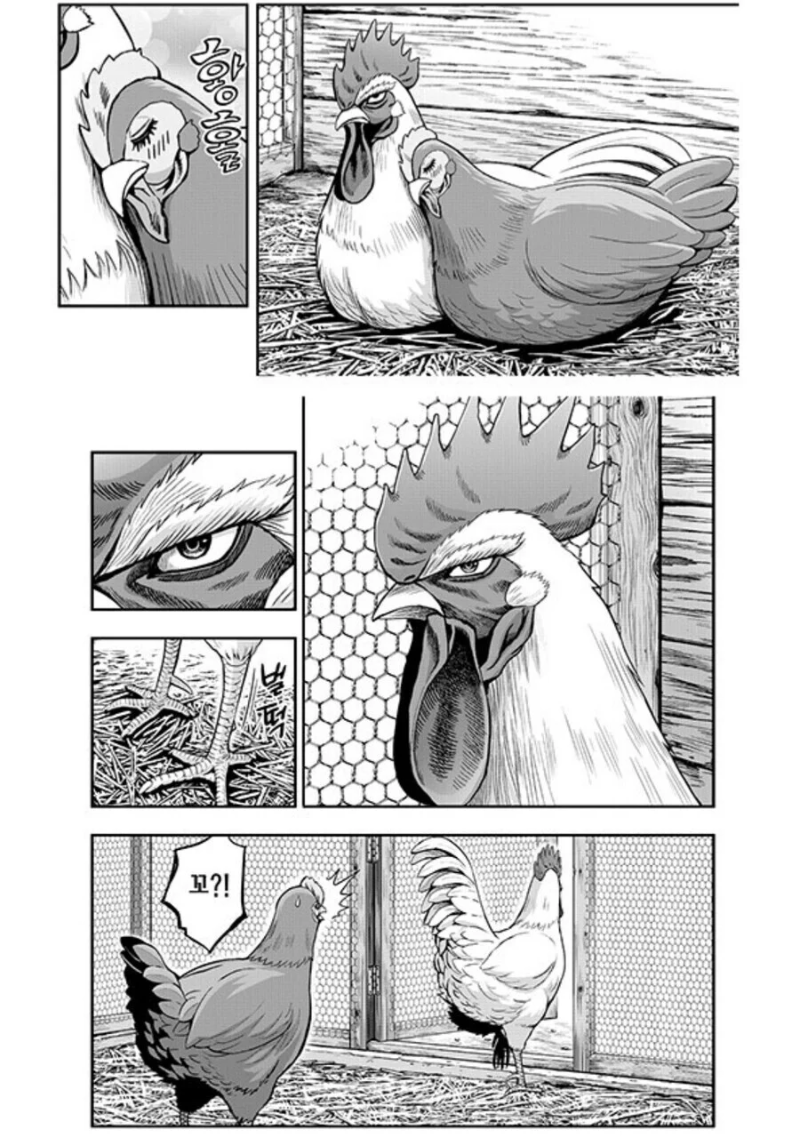 e_s8b7b9f003_95ebc724151c43a24a6e31e1368e9a65855c2312.png