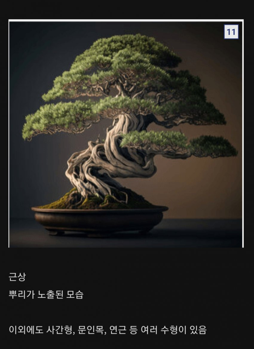 16885170998798.jpg