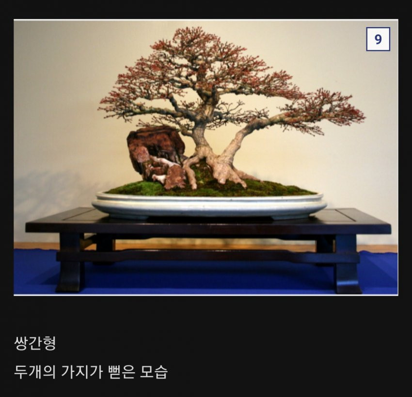16885170967806.jpg