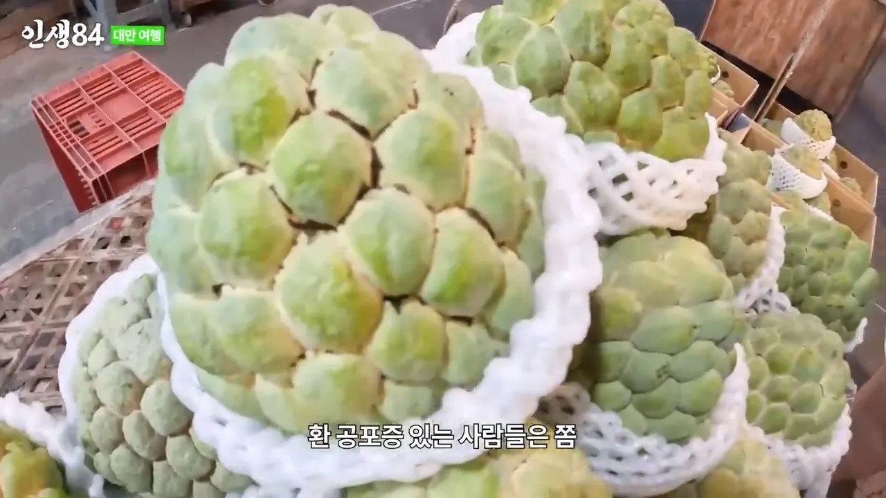 ㅅㅇ) 대만 야시장에 가서 맛있는거 먹는 기안84 ㄷㄷ....jpg