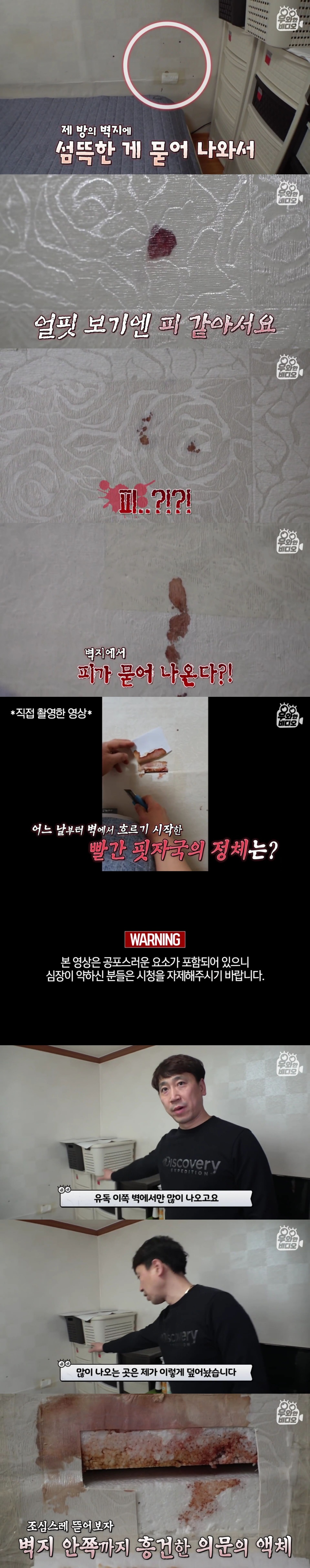 언제부턴가 제 방 벽에서 핏자국이 흘러내려요..