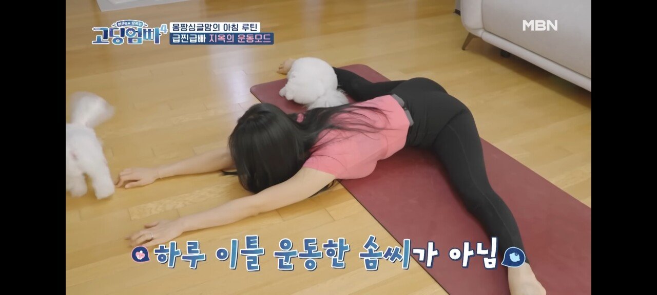 김짤.com_005.jpg
