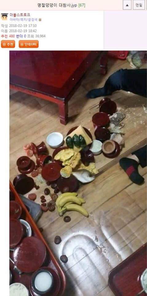 명절 댕댕이 대참사