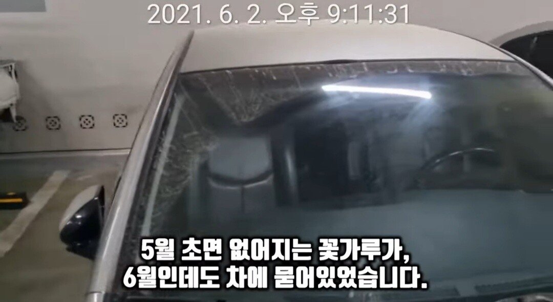 Screenshot_20220417-183011_YouTube.jpg 딸배헌터좌 최신근황