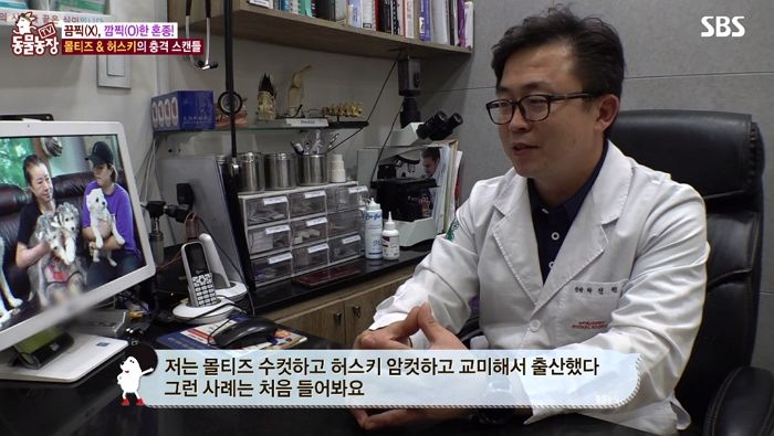 s5i9e1qiz63j07g8o8ft.jpg 말티즈 레전드