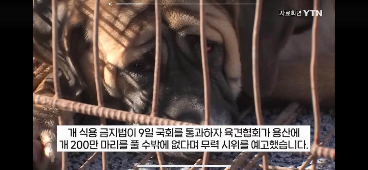 김짤.com_001.png.jpg