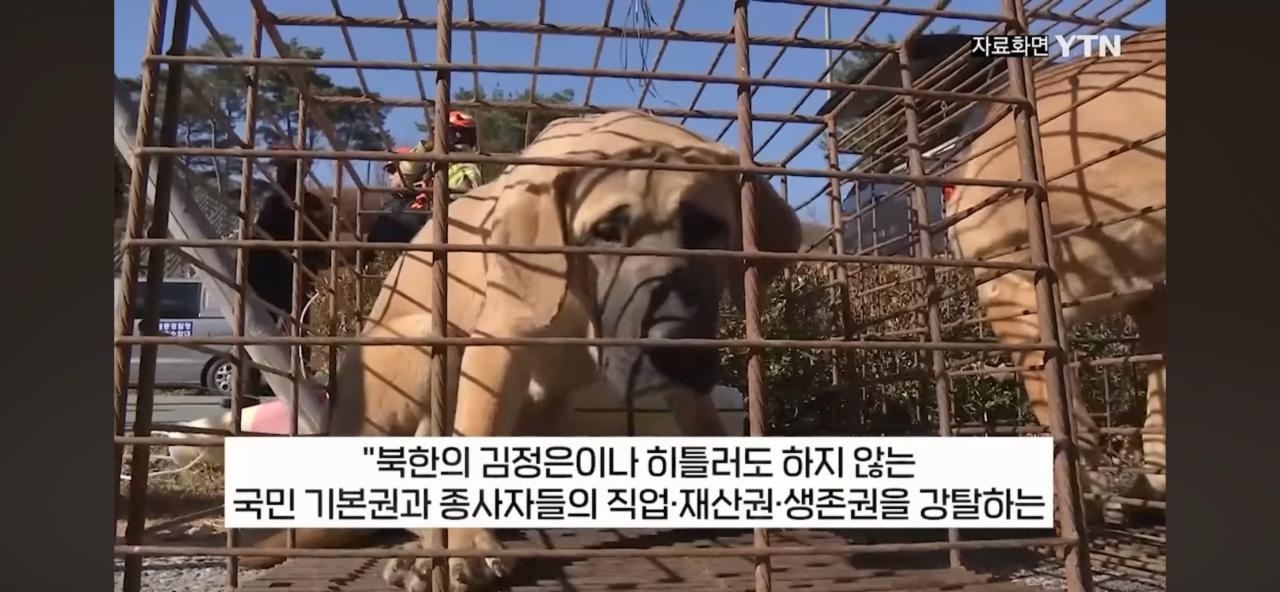 김짤.com_002.png.jpg