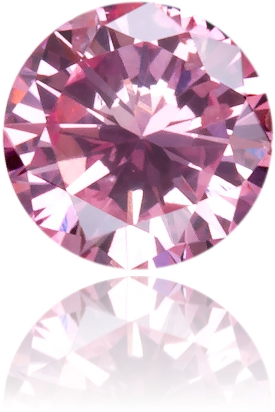 img.jpg