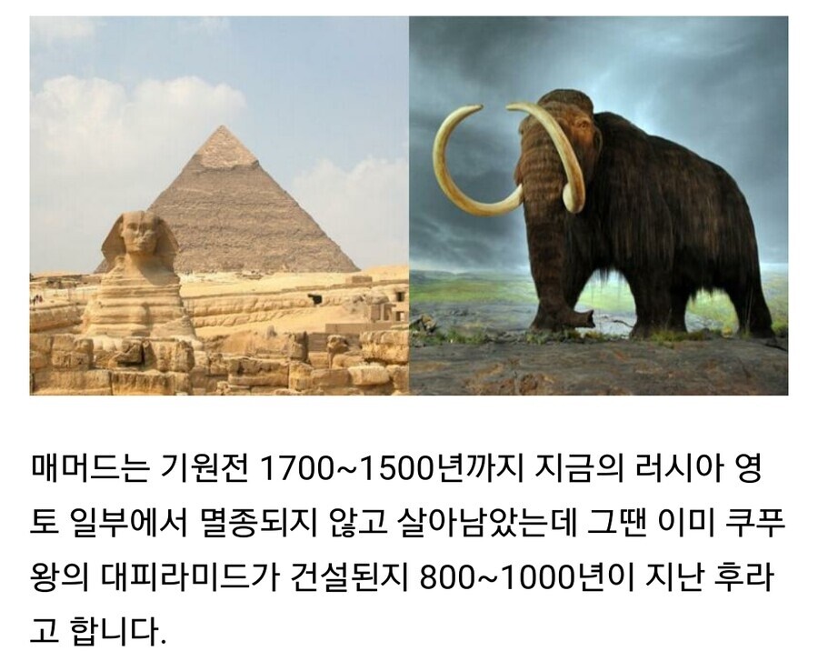 24post.co.kr_001.jpg