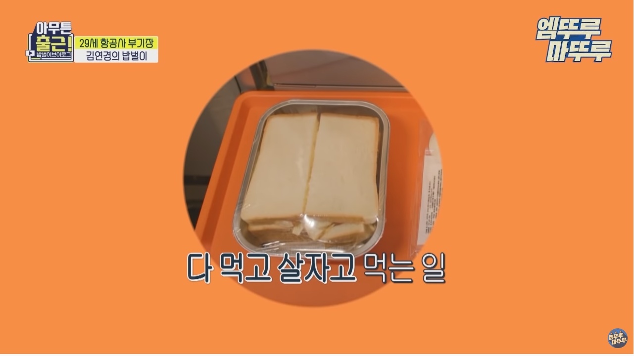 항공기 기장과 부기장이 항상 다른 메뉴를 먹는 이유 - 꾸르