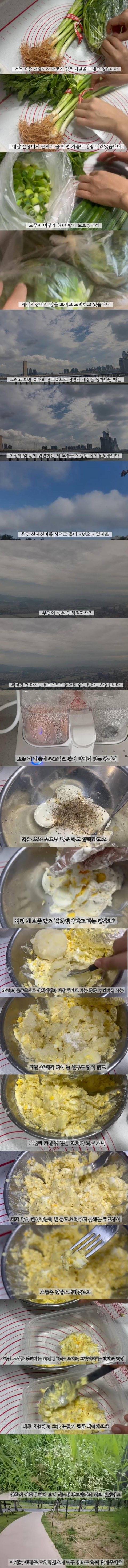 20-30대 욜로 살다가 40대되서 현실후회 | 인스티즈